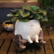 New Face Planter Pots for Indoor Plants Cute Resin Flower Head Planters, - Image 6